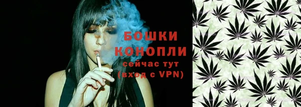 шишки Абаза