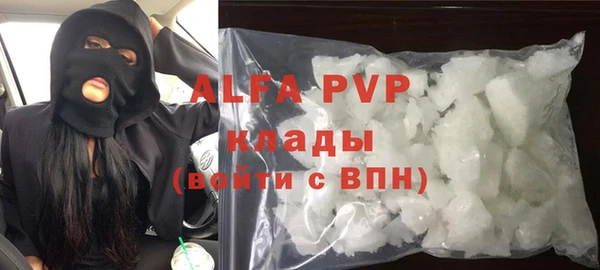 шишки Абаза
