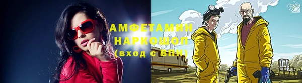 шишки Абаза