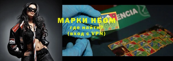 шишки Абаза