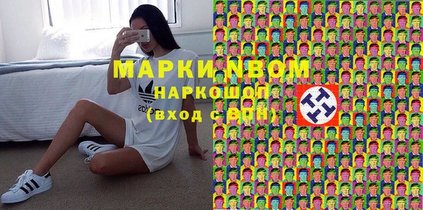 шишки Абаза