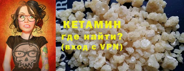 шишки Абаза
