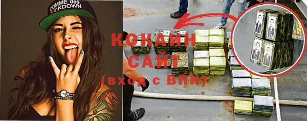 шишки Абаза