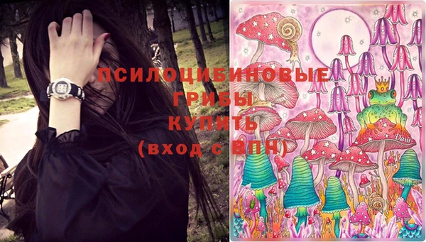 2c-b Абдулино