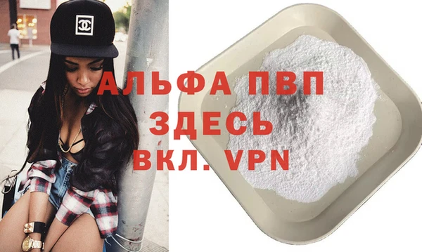 шишки Абаза