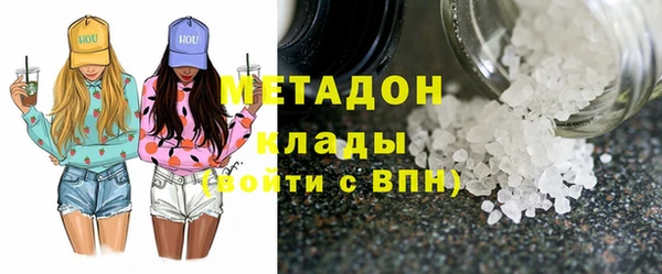 шишки Абаза