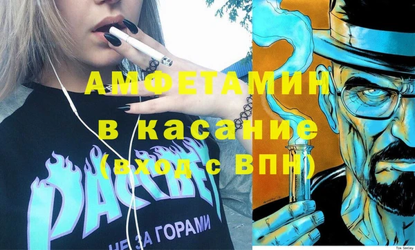 шишки Абаза