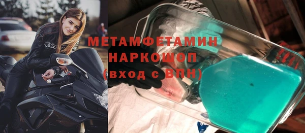 шишки Абаза