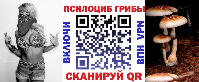 дарк нет Telegram  цены наркотик  Алдан  Галлюциногенные грибы Psilocybe 